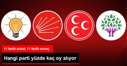 Anketten Çıkan Ortak 1 Kasım Sonucu