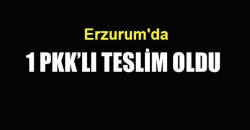 Erzurum'da 1 PKK'lı teslim oldu