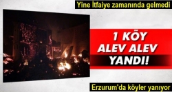 Güzelova Köyü alev alev yandı