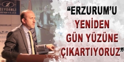 Erzurum'u yeniden gün yüzüne çıkartıyoruz