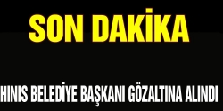 HDP'li Belediye Başkanı gözaltında