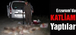 Erzurum'da tavşan katliamı!