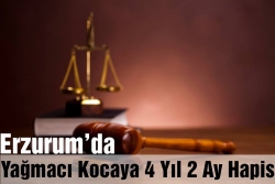 Yağmacı kocaya 4 yıl 2 ay hapis