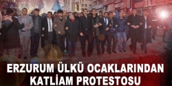 Ülkü Ocaklarından katliam protestosu