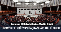 Komisyonlarının başkanları belli oldu