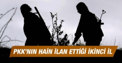 PKK'nın hain ilan ettiği ikinci il