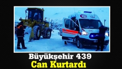 Büyükşehir can kurtarıyor!