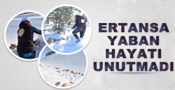 Ertansa yaban hayatı unutmadı