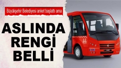 Toplu taşıma araçları tek renk!