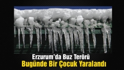 Erzurum'da buz terörü!