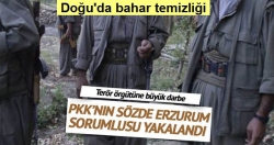 PKK’ya yönelik bahar temizliği