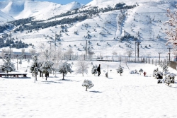 Erzurum güne karla uyandı