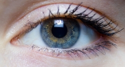 Gözdeki sarı nokta körlüğe yol açabilir