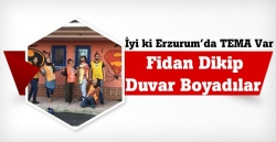 Fidan dikip, duvar boyadılar