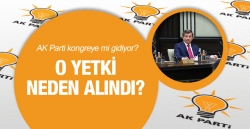 Davutoğlu'ndan o yetki neden alındı