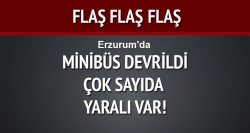 Minibüs devrildi: 25 yaralı!