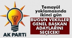 AK Parti'nin temayül yoklaması