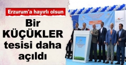 Bir Küçükler eseri daha!