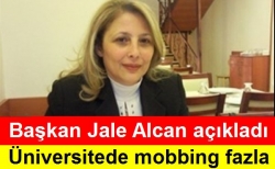 Alcan, Üniversitelerde mobbin fazla