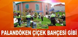 Palandöken çiçek açtı!