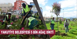 Yakutiye belediyesinden 5 bin ağaç