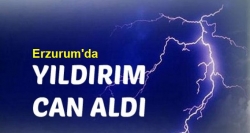 Erzurum'da yıldırım can aldı!