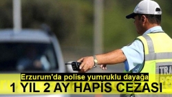 Erzurum'da polise dayağa hapis!