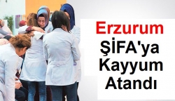 Şifa'ya kayyum atandı!