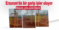 Erzurum'da dikiyorlar, sonrada söküyorlar!