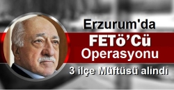 FETÖ'cü müftüler alındı