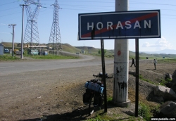 Horasan'da 29 kişi açığa alındı!