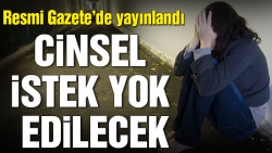 ‘Hadım yönetmeliği’ hazırlandı!