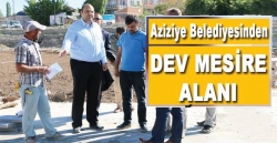 Ilıca mesire alanına kavuşuyor!