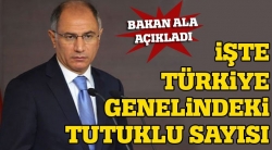 Efkan Ala, gözaltı sayısını açıkladı!