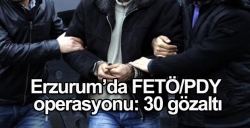 FETÖ/PYD operasyonuna 30 gözaltı