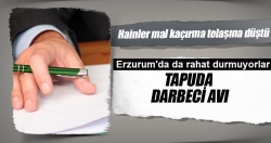 Tapuda darbeci avı!