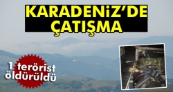 Ordu'da çatışma: 1 terörist öldürüldü!