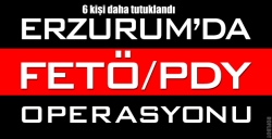 Erzurum'da FETÖ tutuklamaları!