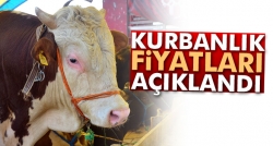 Kurbanlık fiyatları açıklandı!