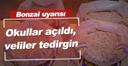 Uzmanlardan bonzai uyarısı!