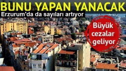 Bunu yapan yandı!