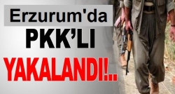 Hınıs’ta 1 PKK’lı terörist yakalandı!