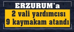 2 vali yardımcısı 9 kaymakam atandı