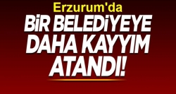 Karayazı belediyesine kayyum atandı.