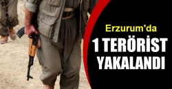 Erzurum’da 1 terörist yakalandı!