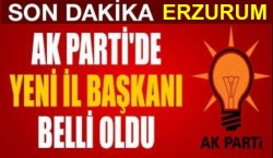 Ak Parti Başkanını belirledi