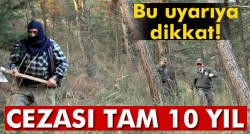 Yılbaşı için ağaç kesenlere 10 yıl