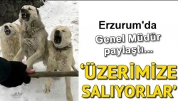 Erzurum'da genel müdür açıkladı!