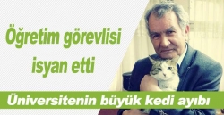 Üniversite 3 kediyi sınır dışı etti!