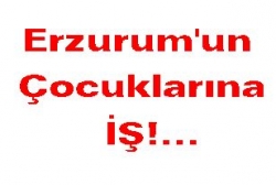 Artık bu çocukların mesleği var